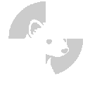 Stoat